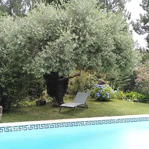 Brin D Ardèche Lentilleres